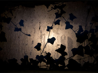 It`s dark and rainy out, so I`m in the creepy basement (see February 15, 2016; September 14, 2014; and October 20, 2013).