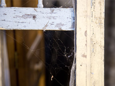 Probably won`t make my Top Ten Photographs of 2018.