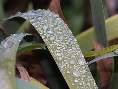 Nature`s Slip-n-Slide.