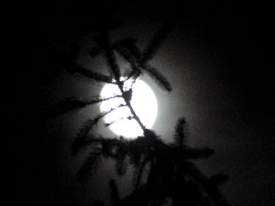 How to confuse your camera:  take a photo of something dark that`s close, and something bright that`s far away.