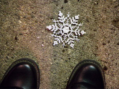 They`re pretty when they`re fake (see December 11 above).