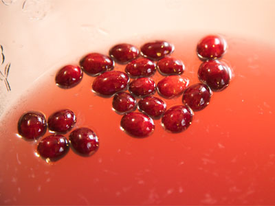 There was a lot of good food and drink.