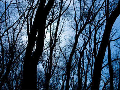 `It was very peaceful and quiet. I wondered why it was that places are so much lovelier when one is alone.` from `Rebecca` by Daphne du Maurier