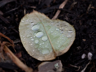 Happily, it was a warm and sunny afternoon.