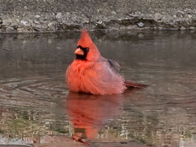 He was vulnerable while taking a bath in the street . . . 