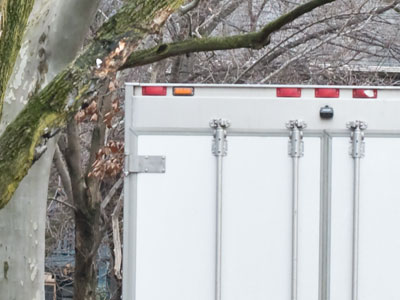A narrow escape from the truck-shredding tree of Hess Street (see November 3, 2016).