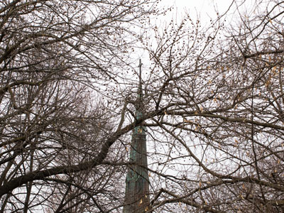 A warm day in winter.