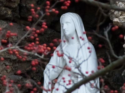 And Mary said, `My soul doth magnify the Lord.` LUKE 1:46