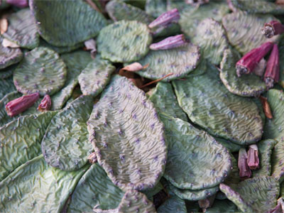 How I feel about winter.