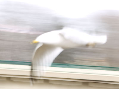 Sometimes our mistakes are better than what we intended.