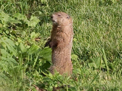 Morning along the river.