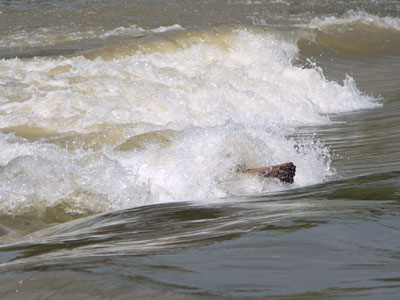 It has rained a lot lately.