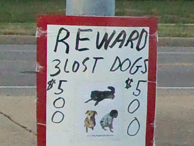 To lose one parent, Mr. Worthing, may be regarded as a misfortune.  To lose both looks like carelessness. LADY BRACKNELL in The Importance of Being Earnest