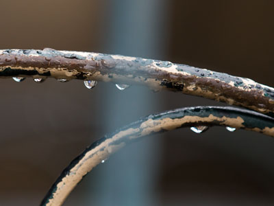 It briefly stopped raining and so I went outside.