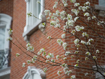 My favorite THING in front of my favorite HOUSE.