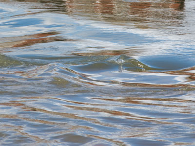 That ol` man river, he don`t say nothing, but he must know something `cause he just keeps rolling, he keeps rolling along. OSCAR HAMMERSTEIN II