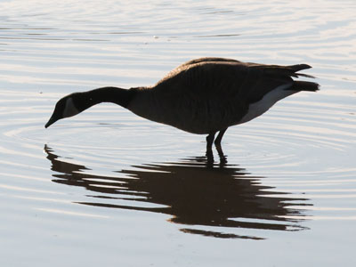 Today was a disaster, but if it had gone as planned I wouldn`t have been here at the right place and time.