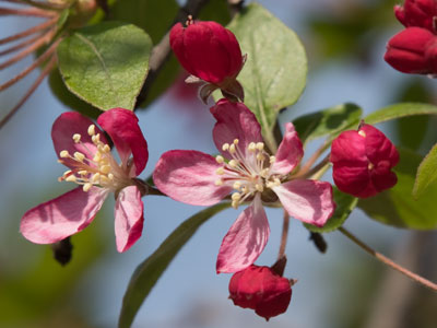 Quiet miracles are happening around us all the time.