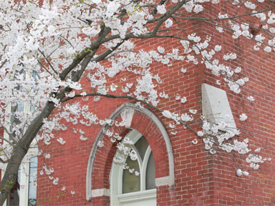 Manmade buildings are no match for nature.