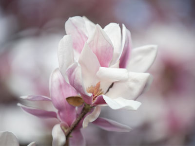 Look at this and tell me why anyone would ever prefer fall or winter.