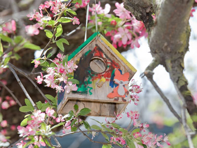 I hope everything is fine at your house.