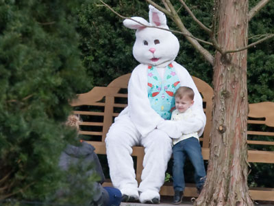 Apparently photo shoots are essential.  They were going on all over the park today.