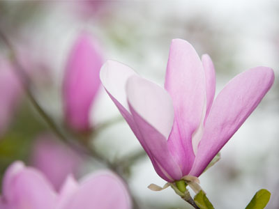 The best things in life are temporary and I need to make an effort to appreciate them before they disappear.