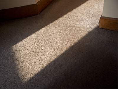 I love watching the sunset.  [Alternate caption:  When the day`s first photo is taken at 7:15pm, there`s a problem.]