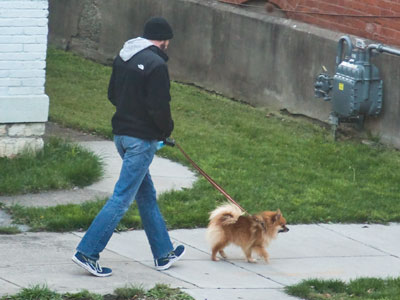 Working from home, I have learned which of my neighbors clean up after their dog.