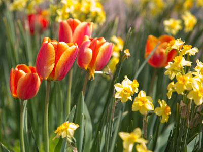 It was bright and sunny this afternoon . . . 