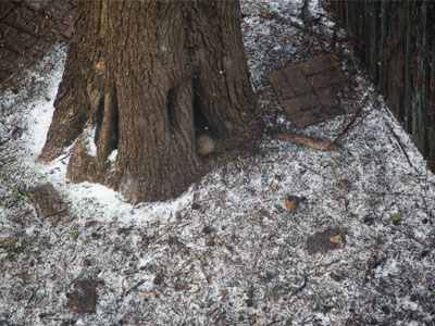  . . . but then the governor canceled spring.