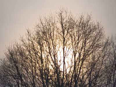 The best picture I`ve ever taken through the window.