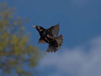 It felt good to get outside today and breathe fresh air.