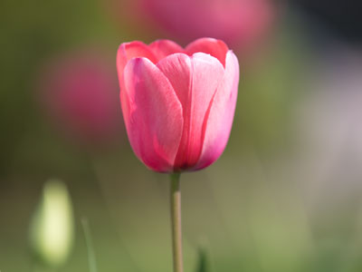 Next week, you`ll be gone, but I appreciate you today.