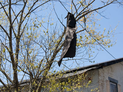 Oh, now that really can`t be right (see April 10 above).