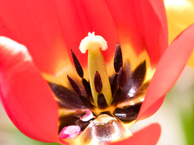 Only 10 people are supposed to be in the park at a time, but none of the other 17 people left when I walked in.