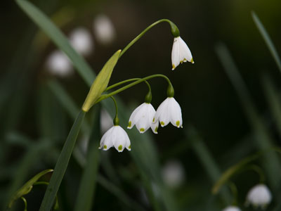 Look down and see the treasures near your ankles.