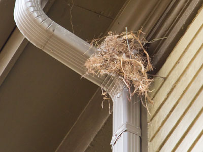 You probably shouldn`t build up there.  It isn`t stable.