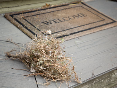 WHAT DID I JUST TELL YOU?