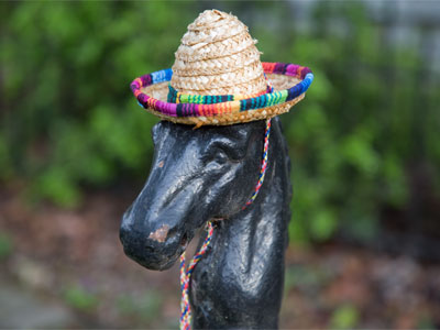 Some things that happen for the first time seem to be happening again.  LORENZ HART (See March 27, 2020)