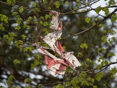 Was Charlie Brown here?