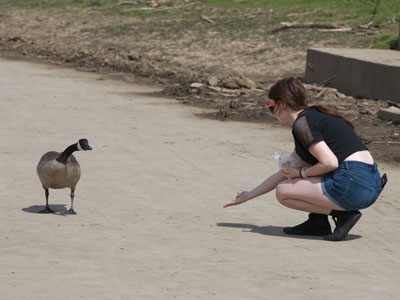 Turns out the goose is gluten-free.