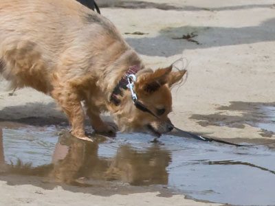 Oh don`t drink that.