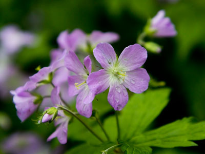 After picking up groceries, I had about 38 seconds . . . 