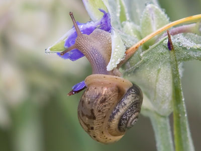 I walked through the prairie this morning and thought, `I want to do something different today.`  Then I saw this.