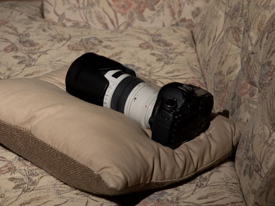 Awww, it`s so cute when it takes a nap on the couch.