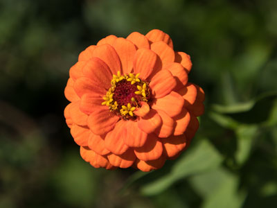 Summer becomes autumn.