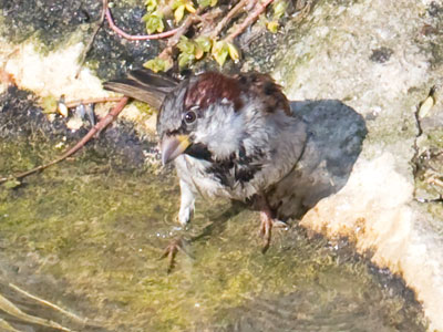 `I just want to stick my toes in for a minute.`