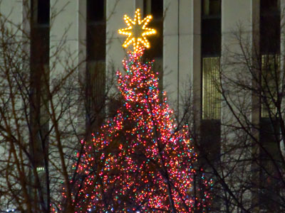 If it was 20 degrees warmer, this picture would be 20% better.