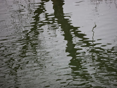 Can you guess what it is?  Starts with a T.